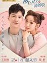Drama China Girlfriend 2020 ONGOING