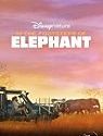 Nonton Film In the Footsteps of Elephant 2020
