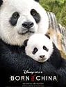 Born in China 2017