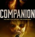 Companion 2021