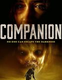 Companion 2021