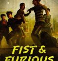 Fist & Furious 2019