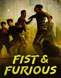 Fist & Furious 2019