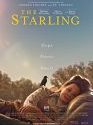 The Starling 2021
