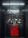 Like Dogs 2021