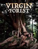 Virgin Forest 2022