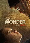 The Wonder 2022