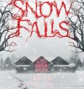 Snow Falls 2023