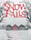 Snow Falls 2023