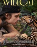 Wildcat 2022