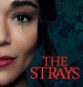 The Strays 2023