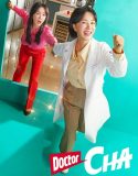 Drama Korea Doctor Cha 2023 END