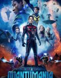 Ant Man and the Wasp Quantumania 2023