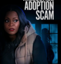 The Hillsdale Adoption Scam 2023