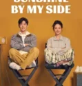 Drama China Sunshine by My Side 2023 END