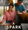 A Spark Story 2021