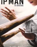 IP Man The Awakening Master 2021