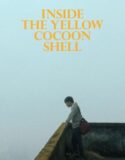 Inside the Yellow Cocoon Shell 2023