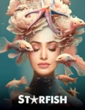 Starfish 2023