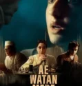 Ae Watan Mere Watan 2024