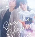 Drama Jepang Sugar Sugar Honey Subtitle Indonesia 2024