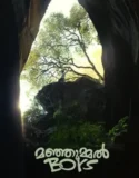 Manjummel Boys (2024) Sub Indo