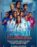 Film Sub Indo Criminal (2024)