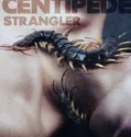 The Centipede Strangler (2025)